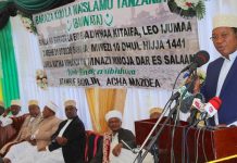 PUNITIVE MEASURES AWAIT ARSONISTS – PM