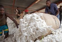 ENABLING ENVIRONMENT ATTRACTS MORE AGRICULTURE SECTOR INVESTMENT