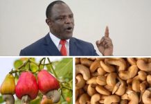 14-DAY DEADLINE FOR CASHEW NUT CASH SET