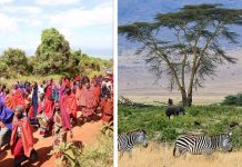 EXPERT: LIVING IN WILDLIFE CORRIDORS REQUIRE PEACEFUL CO-EXISTENCE