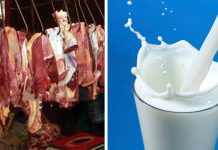 TANZANIANS URGED TO INCREASE CONSUMPTION OF MEAT, MILK