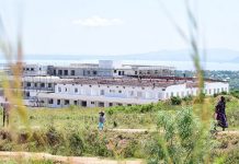 HEALTH SERVICE DELIVERY RECORDS SPLENDID STRIDES