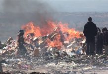 TBS IMPOUNDS 50 SPECIES OF BANNED COSMETICS