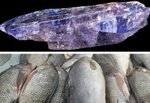 YES POLITICS NOW, BUT ECONOMY AND DEVELOPMENT REQUIRE WORK