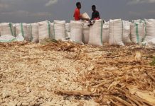 MOROGORO HOSTS 2ND NATIONAL POSTHARVEST MANAGEMENT CONFERENCE