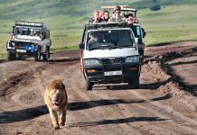 DAR SHINES AS TOURISM REVENUE DOUBLES