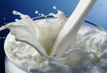GOVERNMENT TO REVIVE MILK PROGRAMME IN SCHOOLS