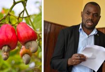 FIRST CASHEW NUT PAYMENT TO START NEXT WEEK