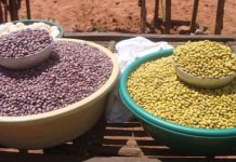 AGRICULTURE CONTINUES TO SHINE IN COUNTRY’S GDP