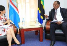 TANZANIA, CHINA VOW TO CEMENT STRATEGIC RELATIONS