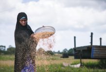 LOCAL GOVT URGED TO WORK WITH DEVELOPMENT PARTNERS