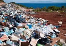 KEEP ENVIRONMENT CLEAN TO ATTRACT INVESTORS, COUNCILS URGED