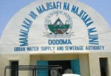 STATE’S 1BN/- WILL FUND DODOMA WATER SUPPLY, SAYS MINISTRY