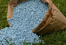 TFRA HAILED FOR BOOSTING ECONOMIC GROWTH, DEVELOPMENT