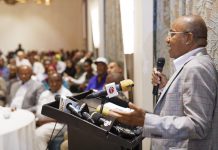 MWINYI TO ENGAGE DIASPORAS IN DEVELOPMENT