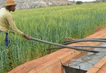 GOVT PUTS 94BN/- IN IRRIGATION SCHEMES