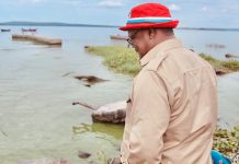 LISSU’S REIGN WILL ENSURE SURPLUS FOOD PRODUCTION, RUKWA VILLAGERS TOLD