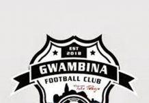 GWAMBINA PLOT JKT TANZANIA DOWNFALL
