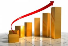 NICOL TO HOLD SHAREHOLDERS’ MEETING NEXT SATURDAY