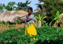 GOVT PROMISES BETTER FUTURE FOR FARMERS