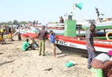 TSA, GLOBAL TEAM FOR TRADE FAIR