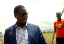 RORYA DC MOUNTS NEW CAMPAIGN