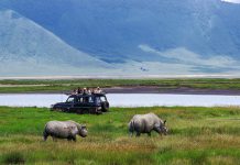 USAID WILDLIFE PROJECT REDUCES POACHING BY 80PC