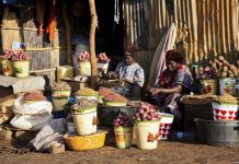 ENTREPRENEURS HAIL GOVT FOR PRUDENT HANDLING OF COVID-19