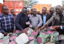 TZ BILLIONAIRE CLASS SWELLS