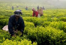 TAKE ADVANTAGE OF LOANS FOR FARM INPUTS, FARMERS TOLD