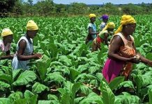 ANSAF ORGANISES TWO-DAY AGRI-INDUSTRY SEMINAR