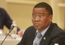 BOTSWANA VICE PRESIDENT LANDS FOR MAGUFULI PRESIDENTIAL INAUGURATION