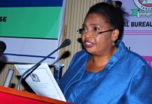 STATISTICIANS CALLED ON TO VISIT HOUSEHOLDS IN DATA COLLECTION