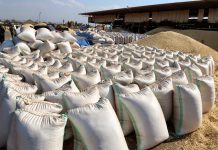 MINISTRY TARGETS ZERO POST-HARVEST LOSS