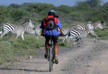 28 RIDERS LISTED, DAR-MOSHI TOUR GATHERS STORM