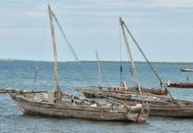 ELEVATION OF UNOFFICIAL PORTS TO HELP CURB SMUGGLING