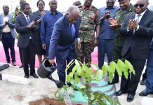 DR MAGUFULI HONOURS PROF SILAYO’S WORK WITH FARM RENAME