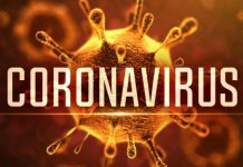 WHY CORONAVIRUS POSES AS FOOD SECURITY CHALLENGE, OPPORTUNITY