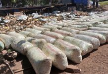80 SACKS OF BHANG SEIZED IN TARIME
