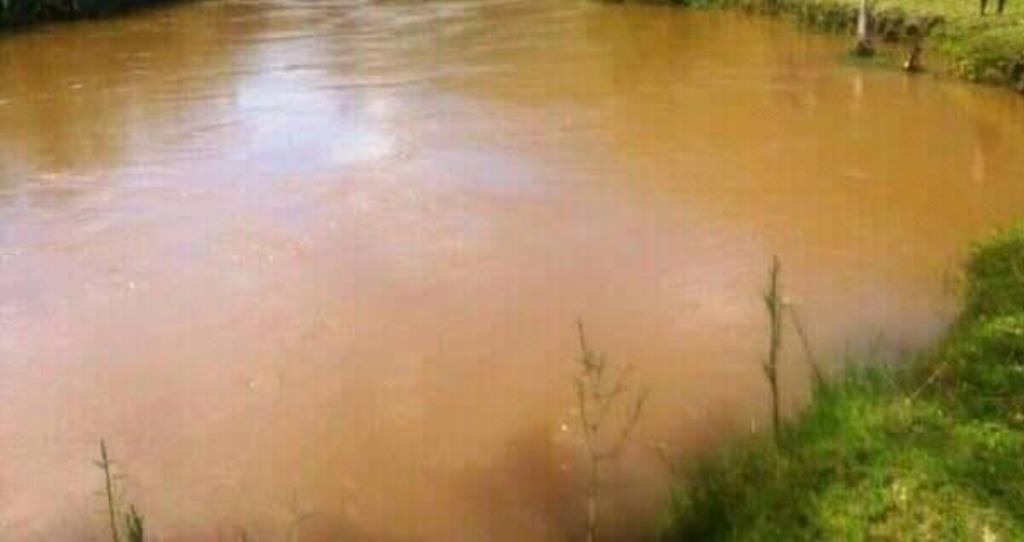 Floods kill three, leave 600 others homeless Floods kill three, leave 600 others homeless