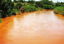 TWO BODIES RECOVERED ON RIVER BANK