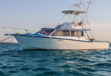 ZANZIBAR TO BUY MORE FISHING VESSELS