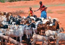 MINISTRY OUTLINES STRATEGIES TO END LAND DISPUTES