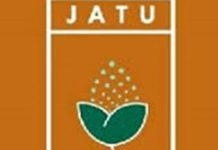 JATU SHARES PLUMMET 20PC IN ONE WEEK