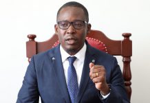 TELECOM COMPANIES WILL REACH ALL VILLAGES, MPS TOLD