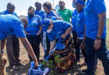 TIGO LAUNCHES TREE PLANTING INITIATIVE IN HAI