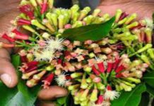 Z’BAR RECORDS OVER 1BN/- EXPORTS IN JAN