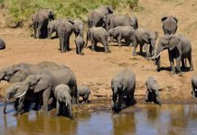 TTB TO ENHANCE WOMEN PARTICIPATION IN TOURISM