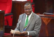 Samia appoints Finance Minister as her Vice