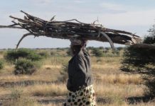 UBA Bank head wants men to help women manage work, family life